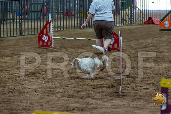 Agility T2B Regional 12%22 SparksJJJ_5286-PBGVKrvlTX2019-HR3