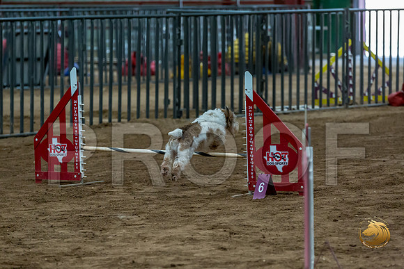 Agility T2B Regional 12%22 SparksJJJ_5287-PBGVKrvlTX2019-HR3
