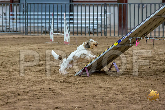 Agility T2B Regional 12%22 SparksJJJ_5289-PBGVKrvlTX2019-HR3