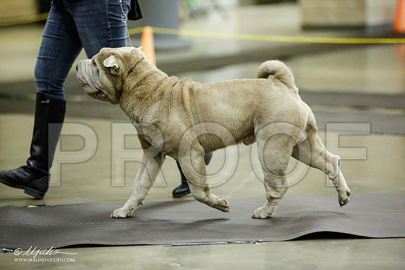 _JJ_5733-BeltonJan2015IABCA-HR3