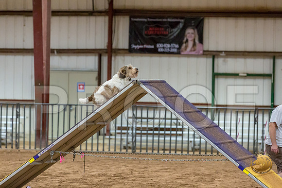 Agility T2B Regional 12%22 SparksJJJ_5292-PBGVKrvlTX2019-HR3
