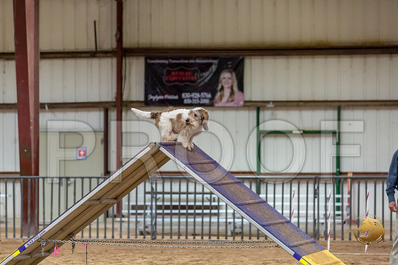 Agility T2B Regional 12%22 SparksJJJ_5295-PBGVKrvlTX2019-HR3
