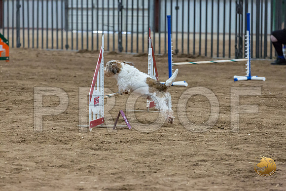 Agility T2B Regional 12%22 Sparks-2JJJ_5450-PBGVKrvlTX2019-HR3