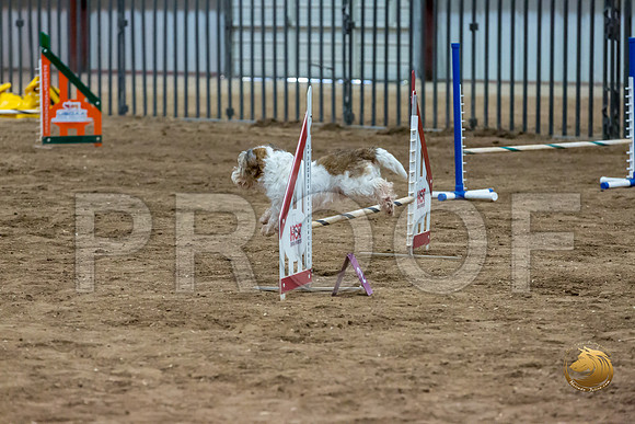 Agility T2B Regional 12%22 Sparks-2JJJ_5451-PBGVKrvlTX2019-HR3