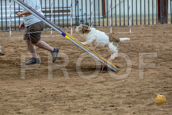 Agility T2B Regional 12%22 Sparks-2JJJ_5452-PBGVKrvlTX2019-HR3