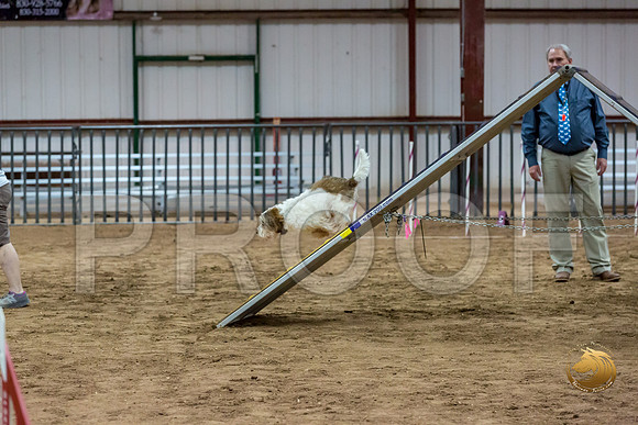 Agility T2B Regional 12%22 Sparks-2JJJ_5457-PBGVKrvlTX2019-HR3