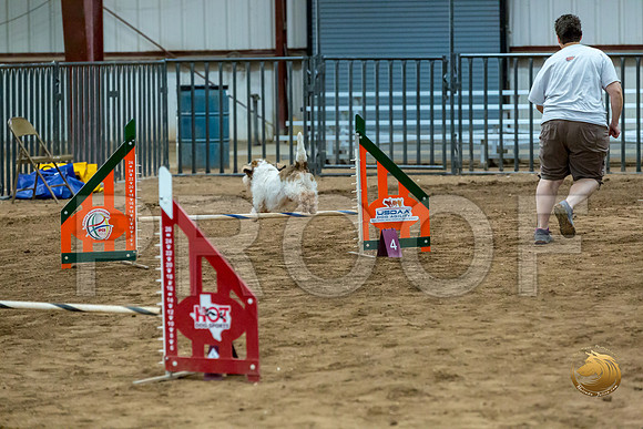Agility T2B Regional 12%22 Sparks-2JJJ_5461-PBGVKrvlTX2019-HR3