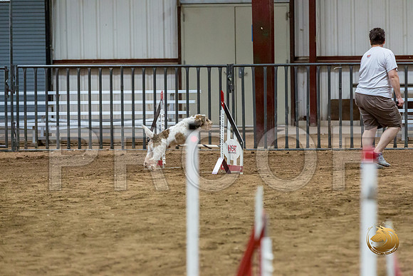 Agility T2B Regional 12%22 Sparks-2JJJ_5463-PBGVKrvlTX2019-HR3