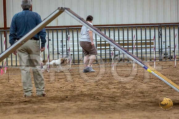 Agility T2B Regional 12%22 Sparks-2JJJ_5465-PBGVKrvlTX2019-HR3