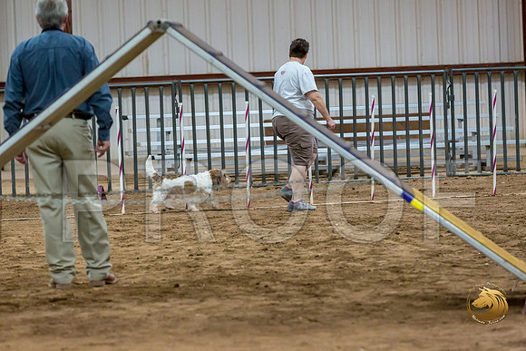 Agility T2B Regional 12%22 Sparks-2JJJ_5466-PBGVKrvlTX2019-HR3