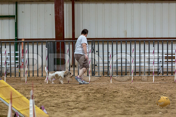 Agility T2B Regional 12%22 Sparks-2JJJ_5468-PBGVKrvlTX2019-HR3