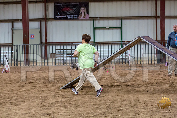 Agility T2B Regional 12%22 Sparks-3JJJ_5524-PBGVKrvlTX2019-HR3