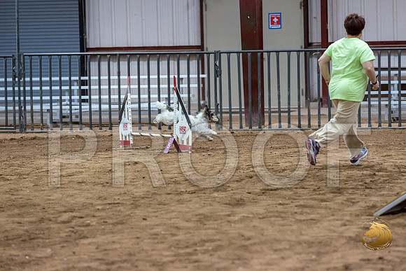 Agility T2B Regional 12%22 Sparks-3JJJ_5530-PBGVKrvlTX2019-HR3