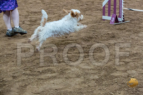 Agility T2B Regional 12%22 SpiceJJJ_5194-PBGVKrvlTX2019-HR3