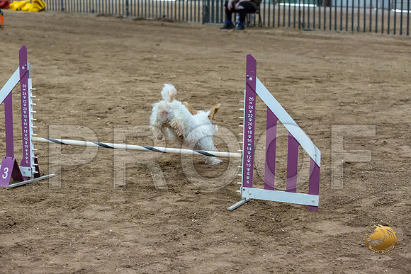Agility T2B Regional 12%22 SpiceJJJ_5196-PBGVKrvlTX2019-HR3