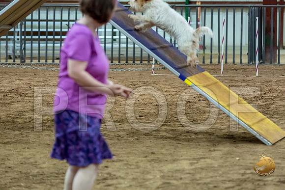 Agility T2B Regional 12%22 SpiceJJJ_5200-PBGVKrvlTX2019-HR3