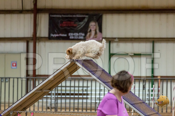 Agility T2B Regional 12%22 SpiceJJJ_5201-PBGVKrvlTX2019-HR3