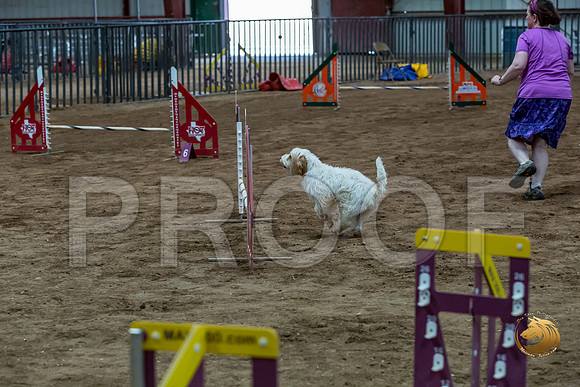 Agility T2B Regional 12%22 SpiceJJJ_5216-PBGVKrvlTX2019-HR3