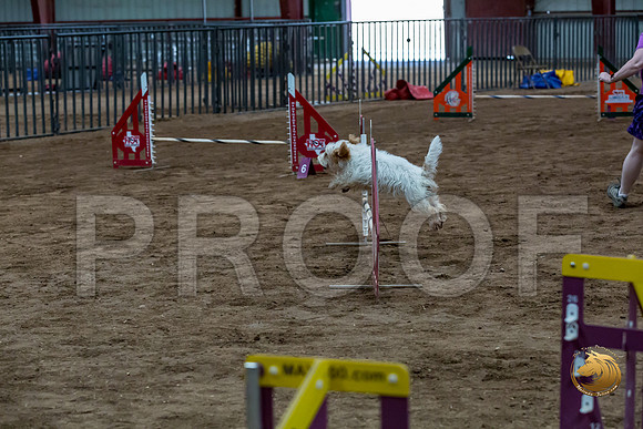 Agility T2B Regional 12%22 SpiceJJJ_5217-PBGVKrvlTX2019-HR3