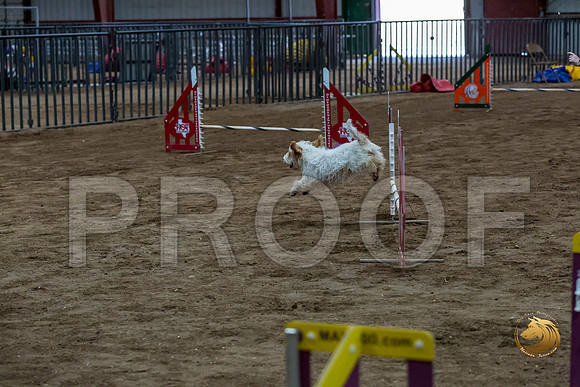 Agility T2B Regional 12%22 SpiceJJJ_5218-PBGVKrvlTX2019-HR3