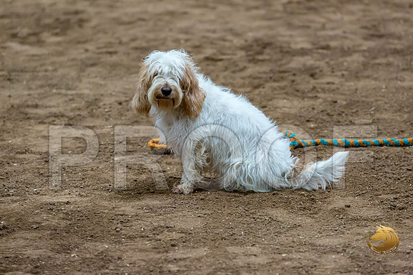 Agility T2B Regional 12%22 Spice-2JJJ_5367-PBGVKrvlTX2019-HR3
