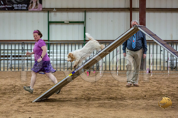 Agility T2B Regional 12%22 Spice-2JJJ_5379-PBGVKrvlTX2019-HR3
