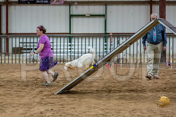 Agility T2B Regional 12%22 Spice-2JJJ_5380-PBGVKrvlTX2019-HR3
