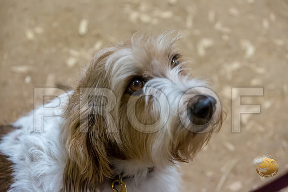 Agility T2B Regional 8%22 ChloeJJJ_5051-PBGVKrvlTX2019-HR3