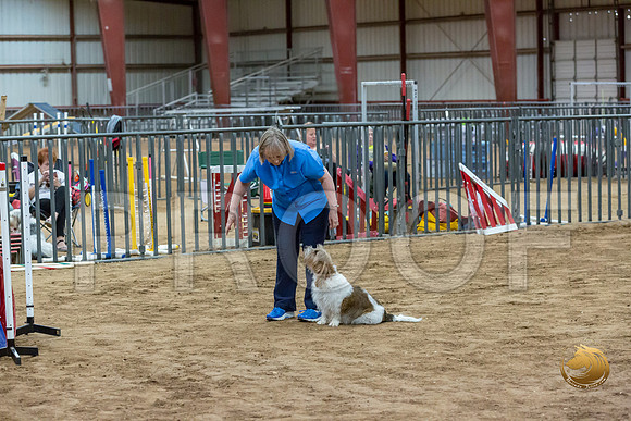 Agility T2B Regional 8%22 ChloeJJJ_5054-PBGVKrvlTX2019-HR3