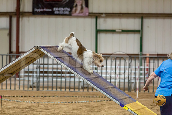 Agility T2B Regional 8%22 ChloeJJJ_5074-PBGVKrvlTX2019-HR3