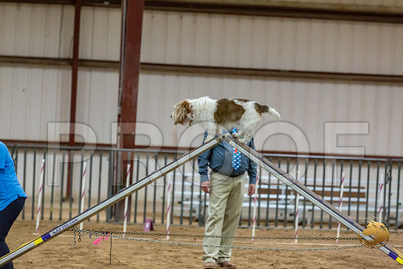 Agility T2B Regional 8%22 Chloe-2JJJ_5633-PBGVKrvlTX2019-HR3