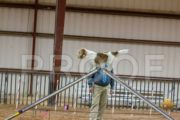 Agility T2B Regional 8%22 Chloe-2JJJ_5634-PBGVKrvlTX2019-HR3