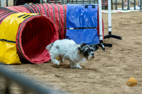 Agility T2B Regional 8" Darcy