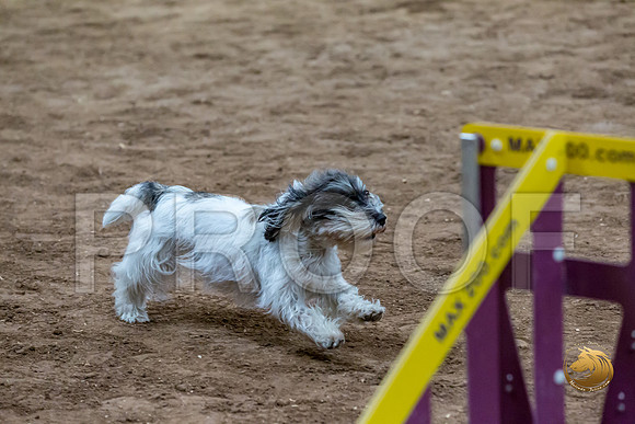 Agility T2B Regional 8%22 DarcyJJJ_5104-PBGVKrvlTX2019-HR3