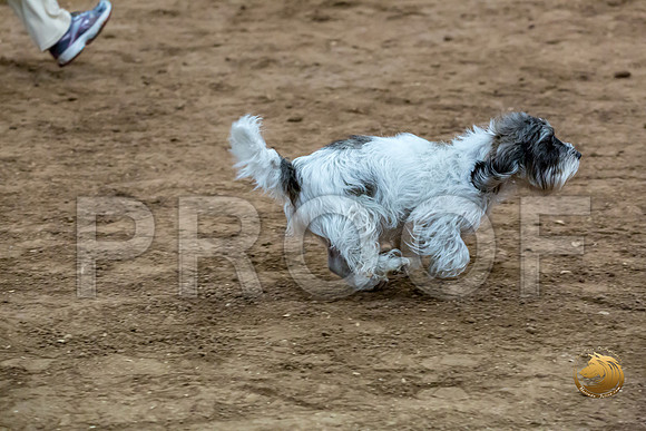 Agility T2B Regional 8%22 DarcyJJJ_5107-PBGVKrvlTX2019-HR3