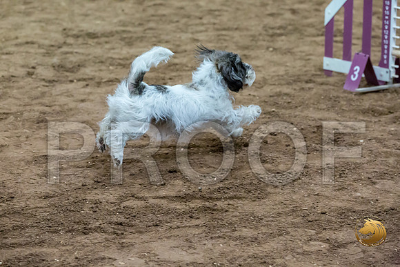 Agility T2B Regional 8%22 DarcyJJJ_5109-PBGVKrvlTX2019-HR3