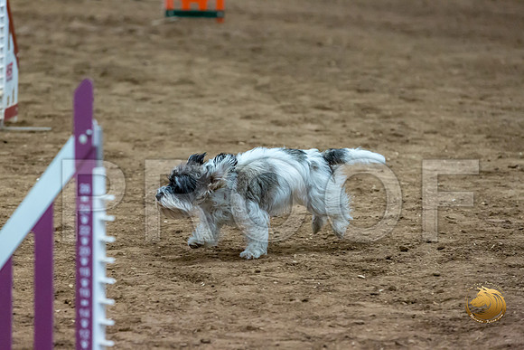 Agility T2B Regional 8%22 DarcyJJJ_5113-PBGVKrvlTX2019-HR3
