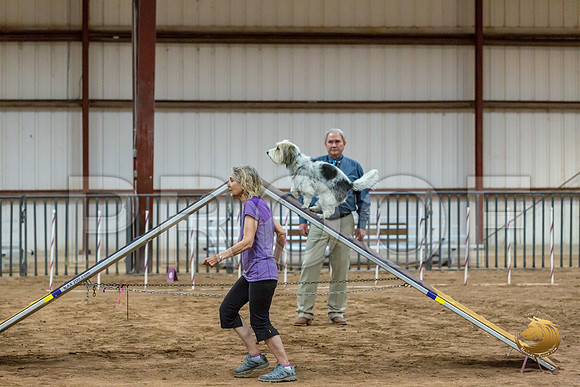 Agility T2B Regional 8%22 Darcy-2JJJ_5598-PBGVKrvlTX2019-HR3