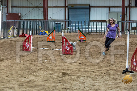 Agility T2B Regional 8%22 Darcy-2JJJ_5605-PBGVKrvlTX2019-HR3