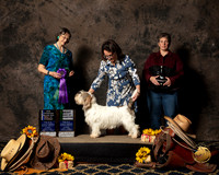#28 Thurs WB NCh Jan Zigich Reg Judge Linda Scanlon