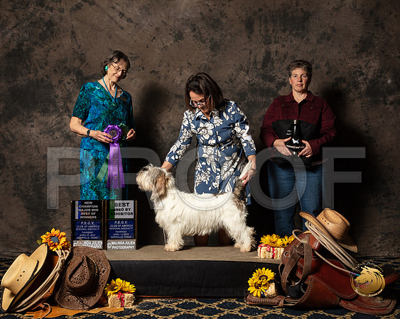 #28 Thurs WB NCh Jan Zigich Reg Judge Linda ScanlonSSR_5315-PBGVKrvlTX2019-HR3