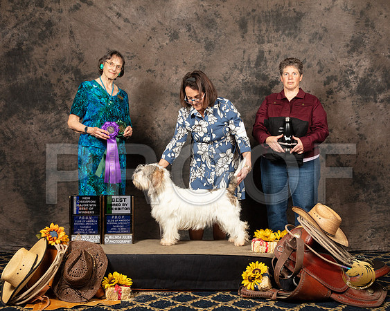 #28 Thurs WB NCh Jan Zigich Reg Judge Linda ScanlonSSR_5317-PBGVKrvlTX2019-HR3