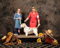 #31 Thur BVet Sweeps Janice Hayes Judge Katherine Howell