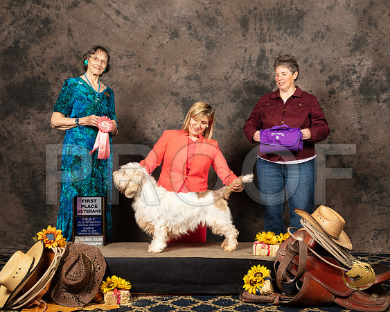 #34 Thurs VetB Kristina Krieck Reg Judge Linda ScanlonSSR_5342-PBGVKrvlTX2019-HR3