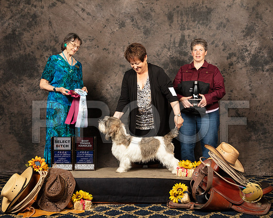 #44 Thurs SB AOM HB Vickie Willmann Reg Judge Linda ScanlonSSR_5312-PBGVKrvlTX2019-HR3