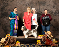 #46 Thurs BISS Janice Hayes Reg Judge Linda Scanlon