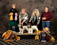 #67 #68 Thurs BOS BOB Puppy Teri King Terry Dennison Judge Nancy Simmons