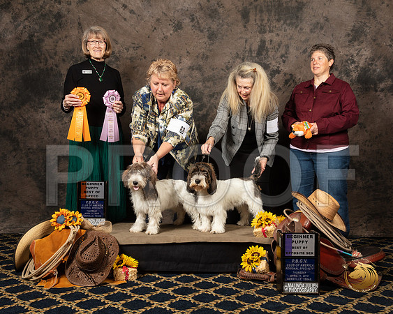 #67 #68 Thurs BOS BOB Puppy Teri King Terry Dennison Judge Nancy SimmonsSSR_5203-PBGVKrvlTX2019-HR3