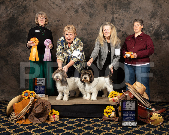 #67 #68 Thurs BOS BOB Puppy Teri King Terry Dennison Judge Nancy SimmonsSSR_5204-PBGVKrvlTX2019-HR3