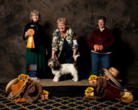 #68 Thurs BOB Puppy Terry Dennison Judge Nancy Simmons